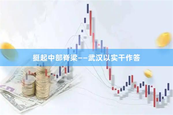 挺起中部脊梁——武汉以实干作答