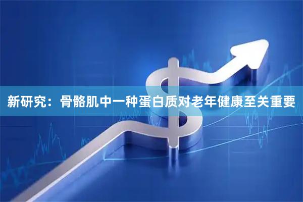 新研究：骨骼肌中一种蛋白质对老年健康至关重要