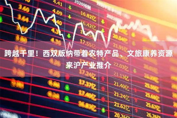 跨越千里！西双版纳带着农特产品、文旅康养资源来沪产业推介
